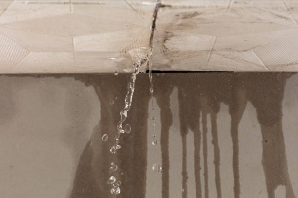 Professional Sewage Cleanup technician working in Dillonvale, OH